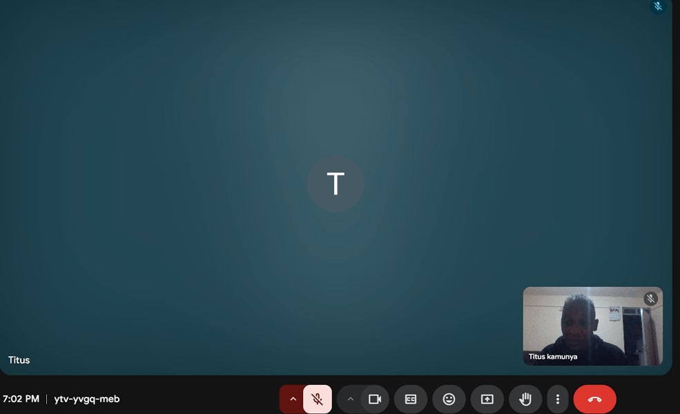 Google Meet Meeting interface
