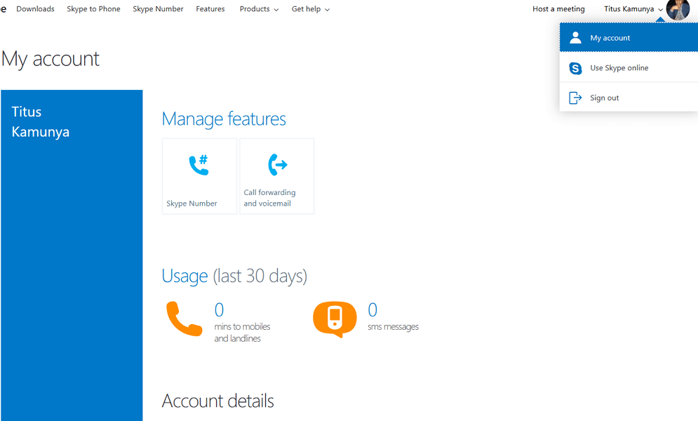 use skype online