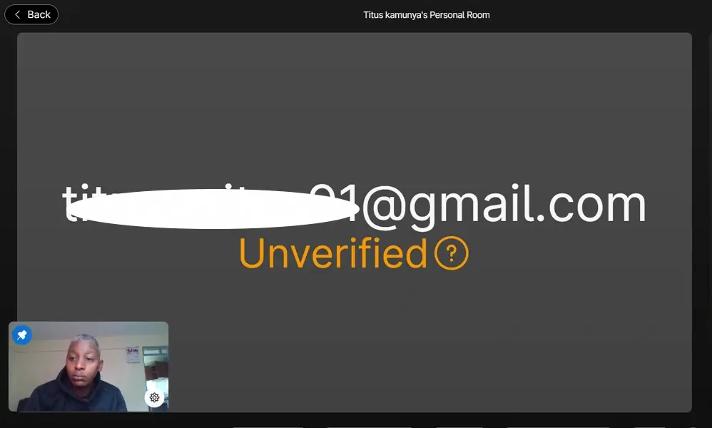 webex meetings interface