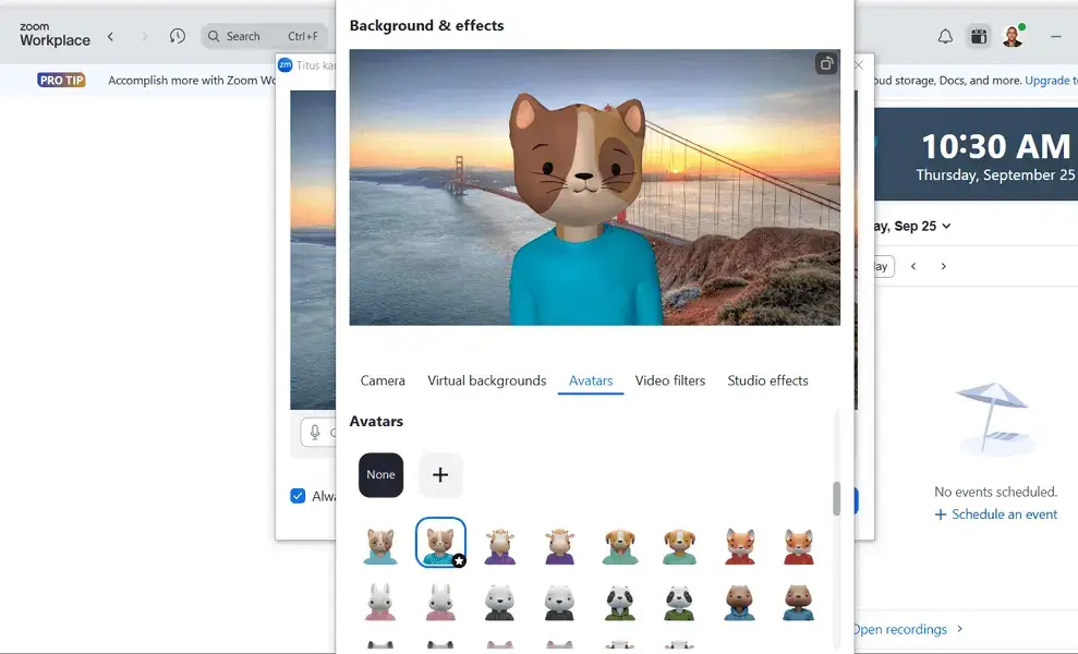 zoom avatars on video meetings