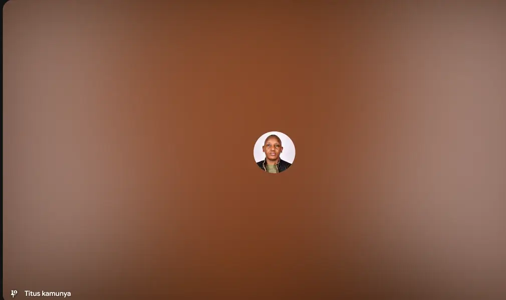 pin users on google meet