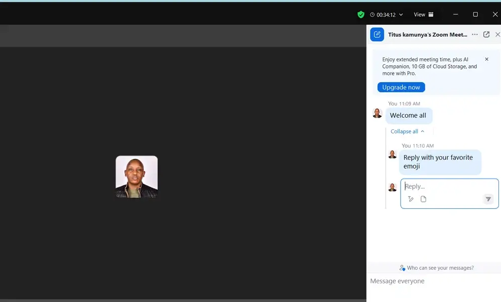 Zoom-In-Call-Messages
