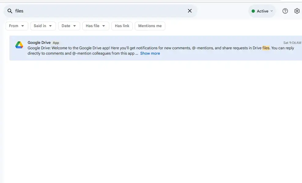 google chat search history