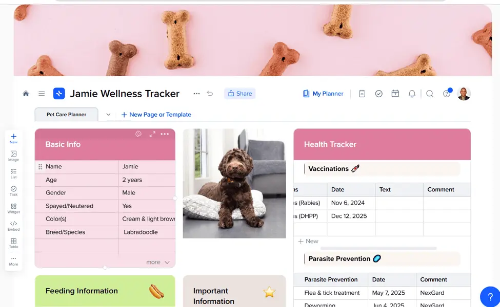 Notion Alternatives