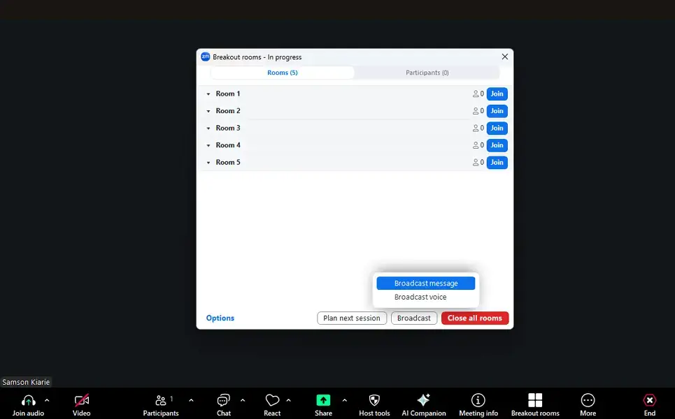 Send a broadcast message in Zoom