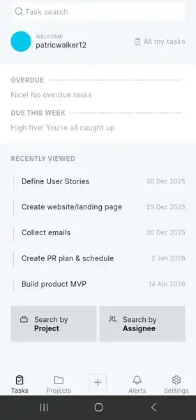 projectmanager mobile app
