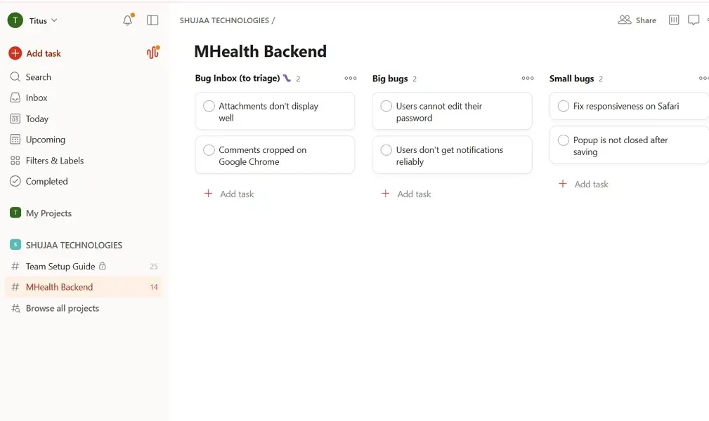 todoist task management
